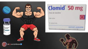 💥 Clomifeno Aumenta a Testosterona? A Verdade Científica Que Ninguém Te Conta