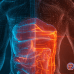 🔥💥 Como REALMENTE Perder Gordura Abdominal em 2026 (Usando Ciência, e Não Mitos da Internet)